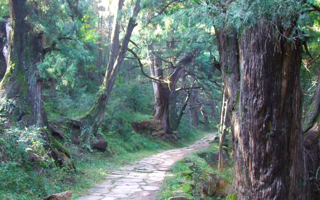 首页 七曲山大庙 翠云廊 清康熙三年(1664,剑州知州乔钵在一首诗中